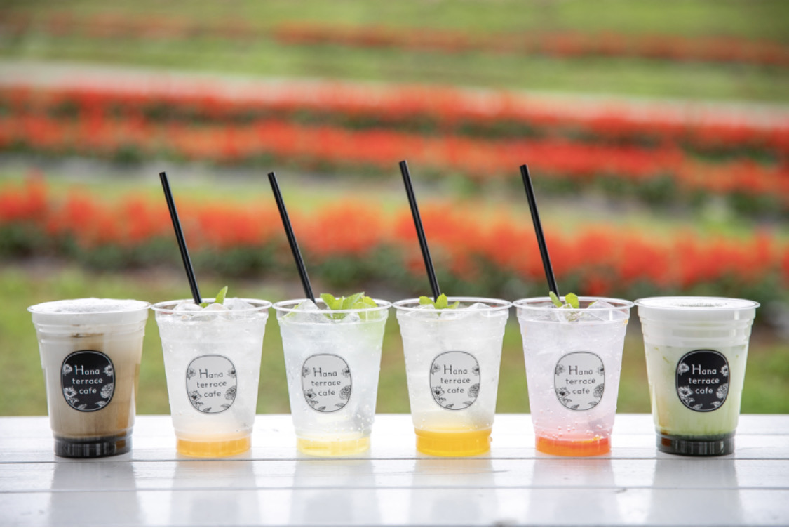 ハナテラスドリンク